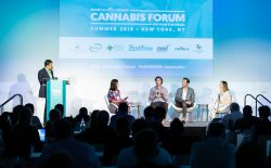 Cannabis Forum