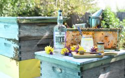 Dixie Wildflower Honey-Vodka